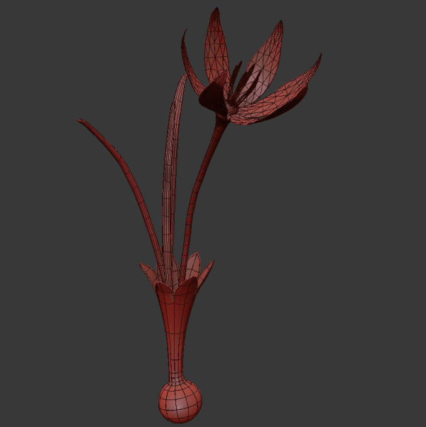 ANIMATED FLOWERS COLLECTION