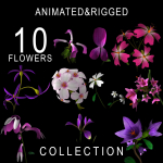 ANIMATED FLOWERS COLLECTION
