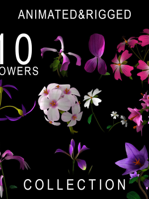 ANIMATED FLOWERS COLLECTION