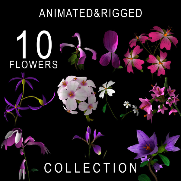 ANIMATED FLOWERS COLLECTION