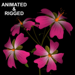 ANIMATED FLOWERS COLLECTION