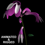 ANIMATED FLOWERS COLLECTION