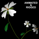 ANIMATED FLOWERS COLLECTION