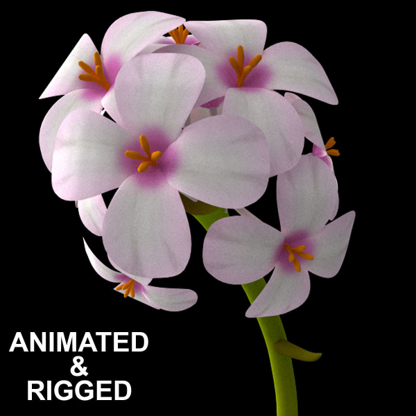 ANIMATED FLOWERS COLLECTION