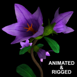 ANIMATED FLOWERS COLLECTION