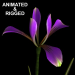 ANIMATED FLOWERS COLLECTION