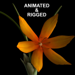 ANIMATED FLOWERS COLLECTION