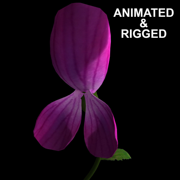 ANIMATED FLOWERS COLLECTION