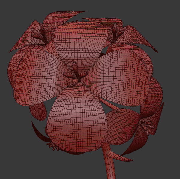 ANIMATED FLOWERS COLLECTION