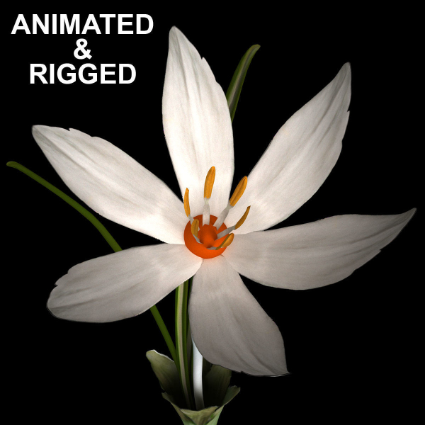 ANIMATED FLOWERS COLLECTION