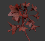 ANIMATED FLOWERS COLLECTION
