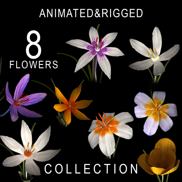 ANIMATED FLOWERS COLLECTION