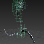 ANIMATED FLOWERS COLLECTION