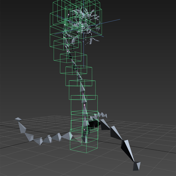 ANIMATED FLOWERS COLLECTION