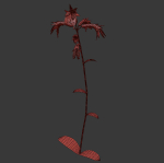 ANIMATED FLOWERS COLLECTION