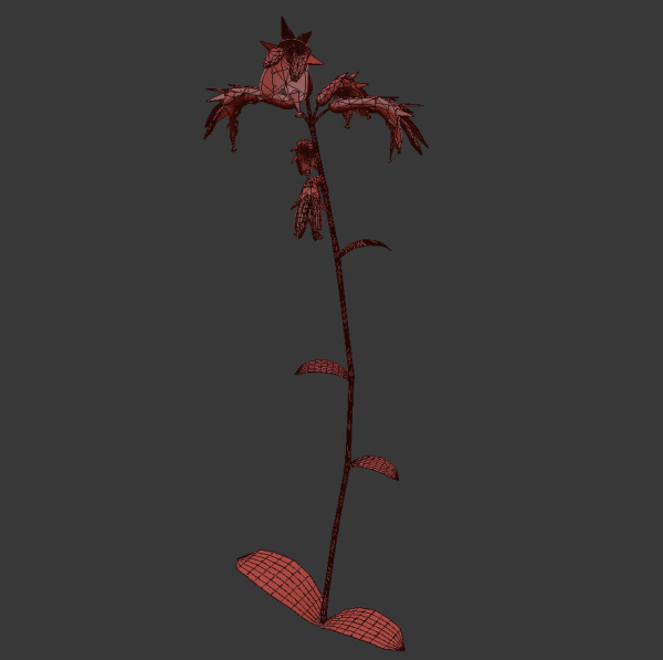 ANIMATED FLOWERS COLLECTION