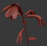 ANIMATED FLOWERS COLLECTION