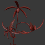 ANIMATED FLOWERS COLLECTION