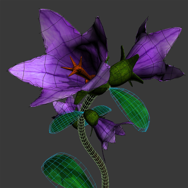 ANIMATED FLOWERS COLLECTION