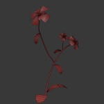 ANIMATED FLOWERS COLLECTION