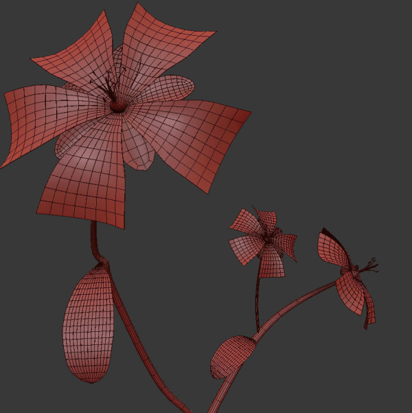 ANIMATED FLOWERS COLLECTION
