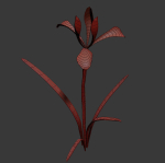 ANIMATED FLOWERS COLLECTION