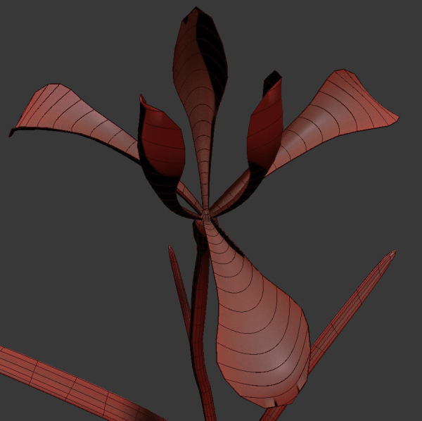 ANIMATED FLOWERS COLLECTION