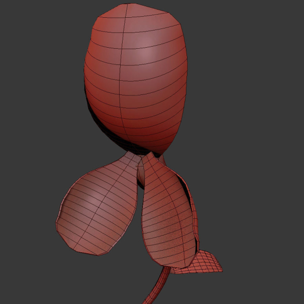 ANIMATED FLOWERS COLLECTION