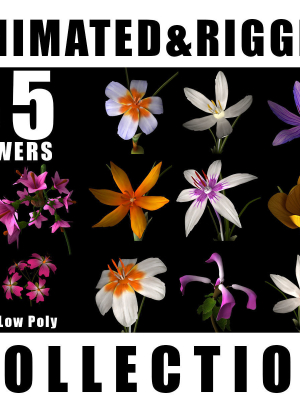 ANIMATED FLOWERS COLLECTION