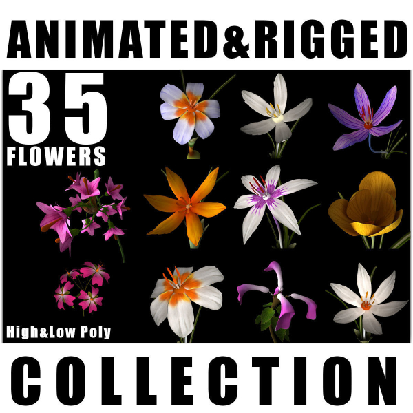 ANIMATED FLOWERS COLLECTION