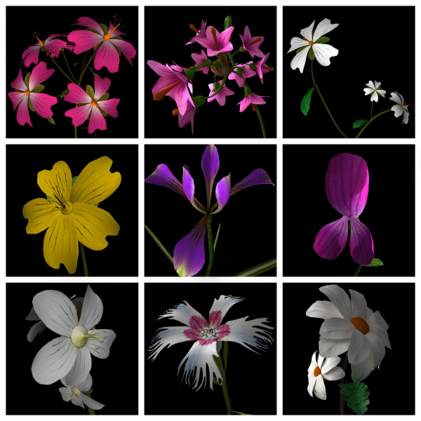 ANIMATED FLOWERS COLLECTION