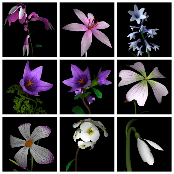 ANIMATED FLOWERS COLLECTION