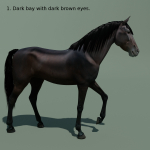 Animated Horse 10 colours