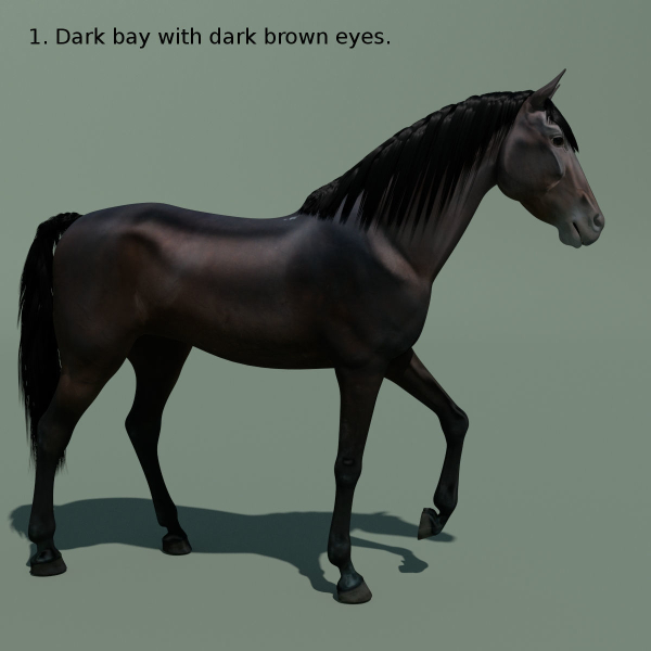 Animated Horse 10 colours