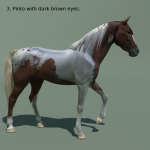 Animated Horse 10 colours