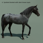 Animated Horse 10 colours