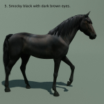 Animated Horse 10 colours