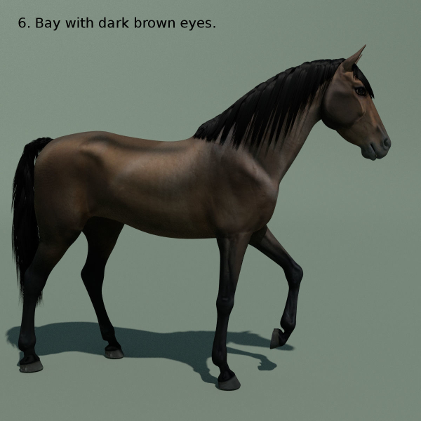 Animated Horse 10 colours