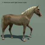 Animated Horse 10 colours