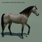 Animated Horse 10 colours