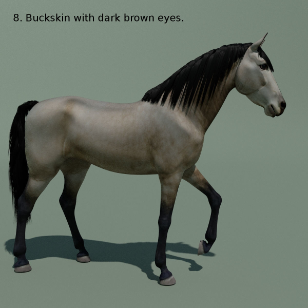 Animated Horse 10 colours