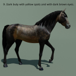 Animated Horse 10 colours