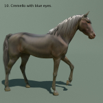 Animated Horse 10 colours