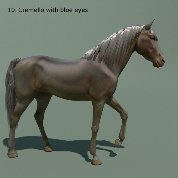 Animated Horse 10 colours