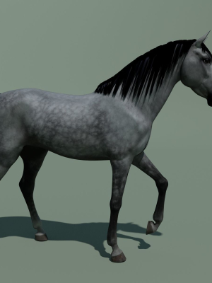 Animated Horse 10 colours