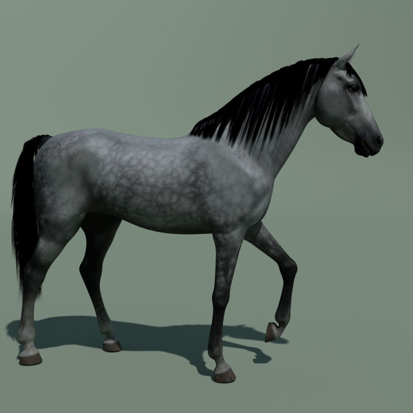 Animated Horse 10 colours