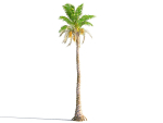 Animated Palm Trees