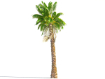 Animated Palm Trees