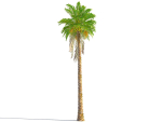 Animated Palm Trees