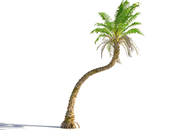 Animated Palm Trees